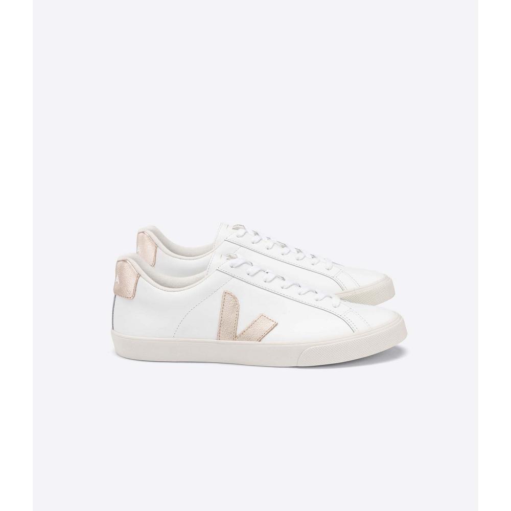 Veja ESPLAR LEATHER Women\'s Sneakers White/Brown | NZ 606TCE